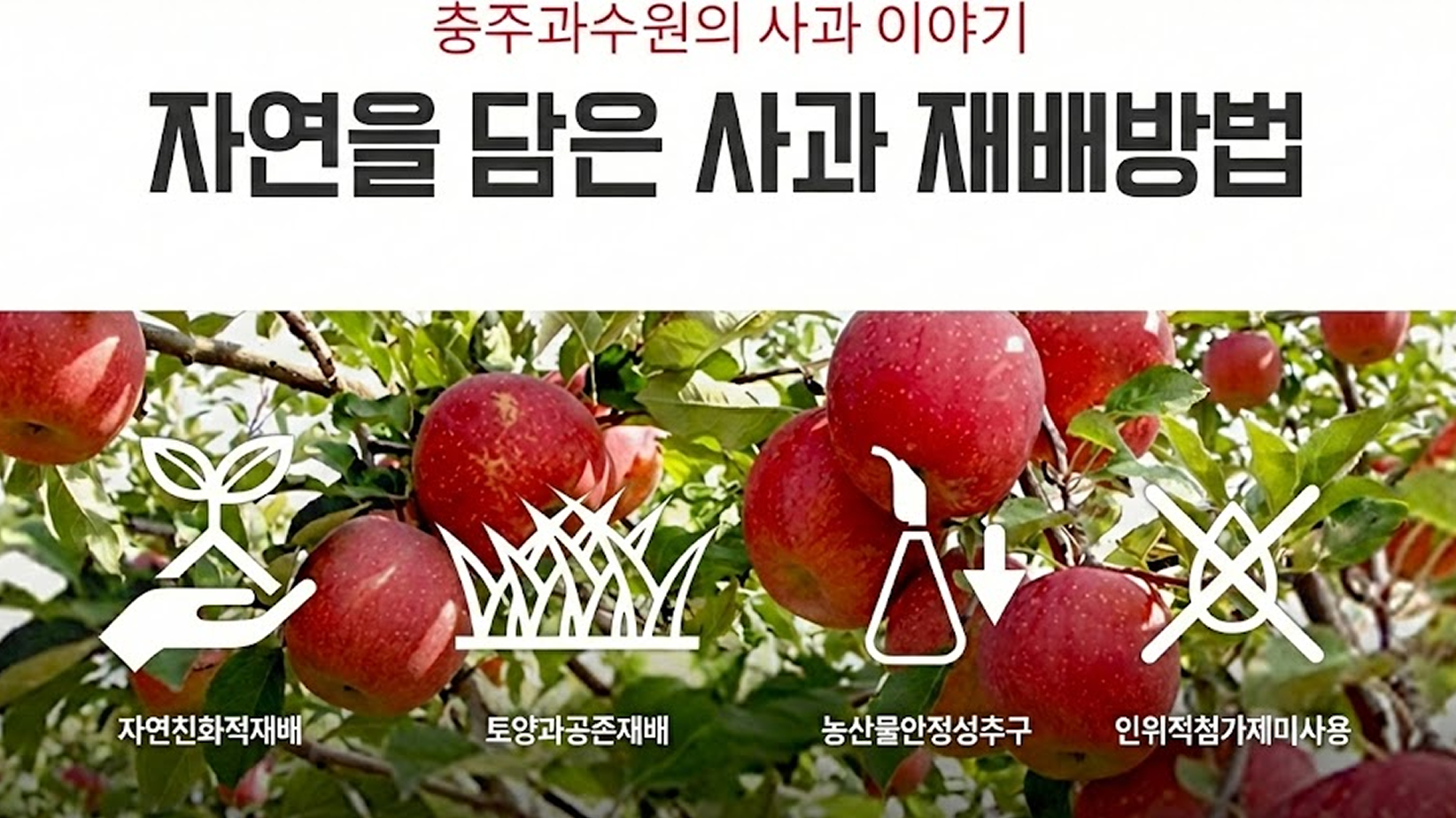 충주과수원의 재배방법